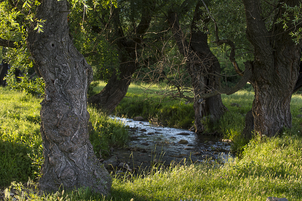 Balkan - jetzt und retro