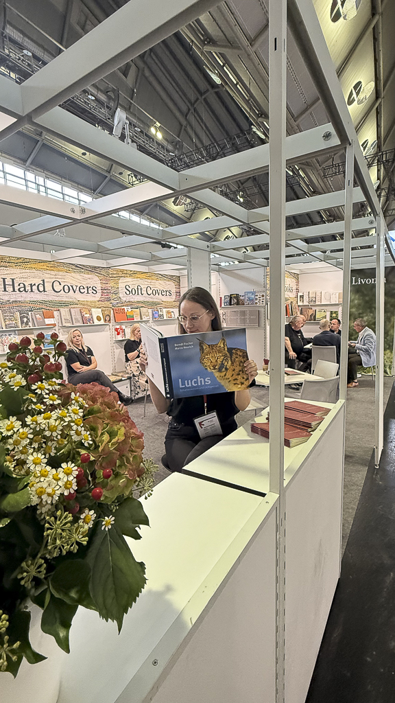 Luchs in freier Natur