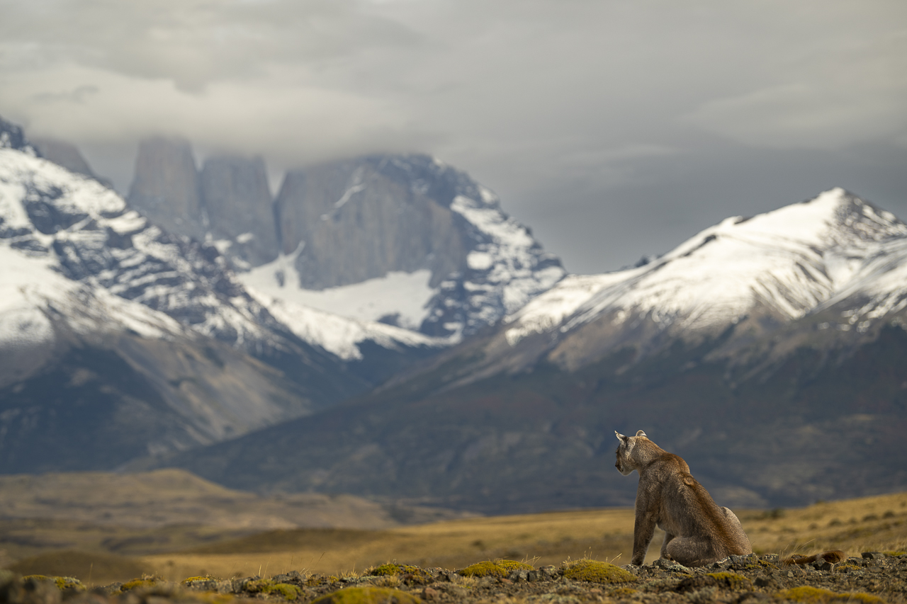 Fin del Mundo - Wilder Süden