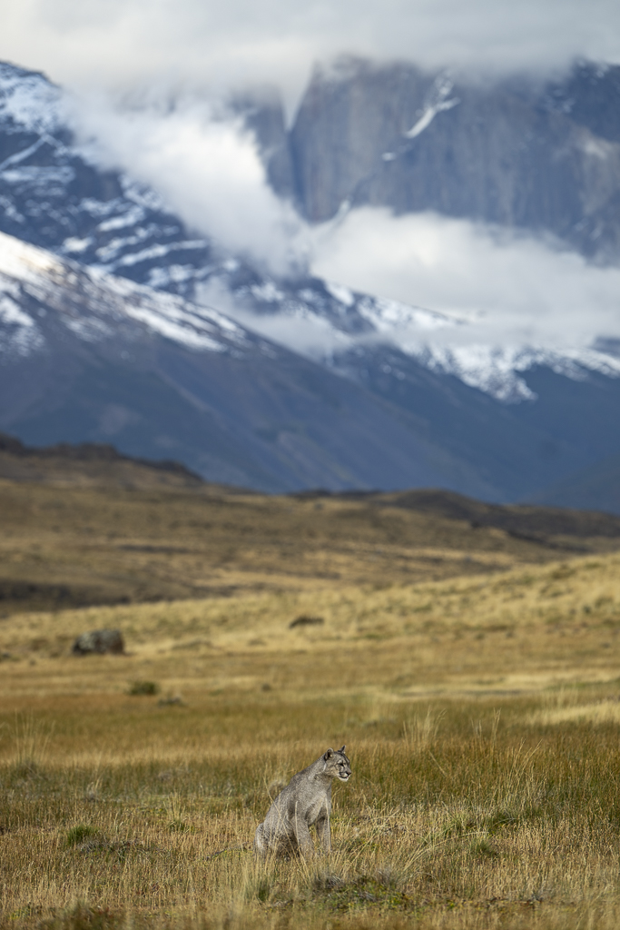 Fin del Mundo - Wilder Süden
