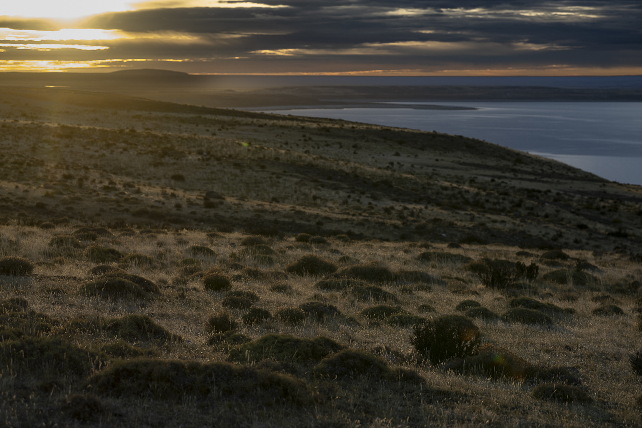 Fin del Mundo - Wilder Süden