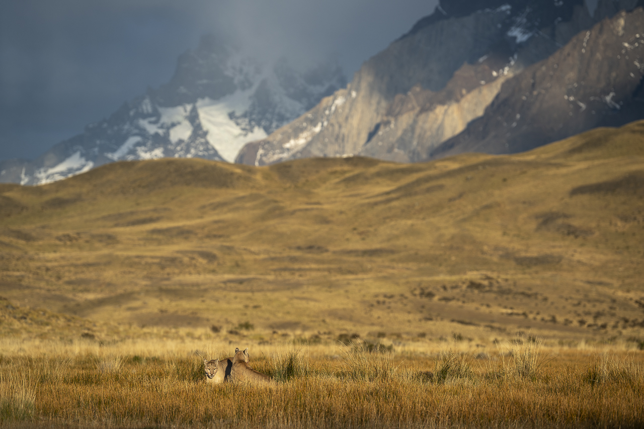 Fin del Mundo - Wilder Süden