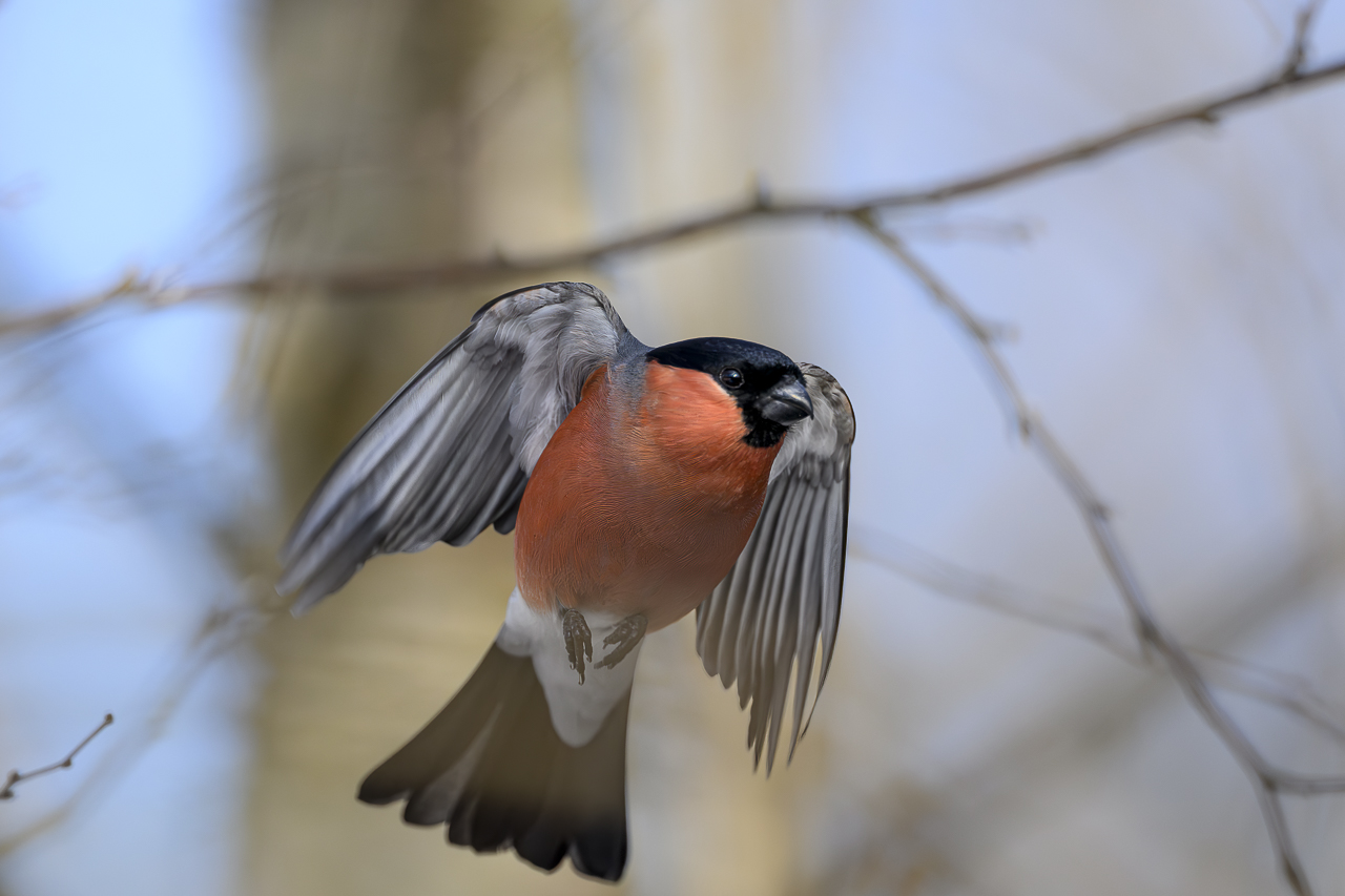 Wald - Raum für natürliche Zusammenhänge
