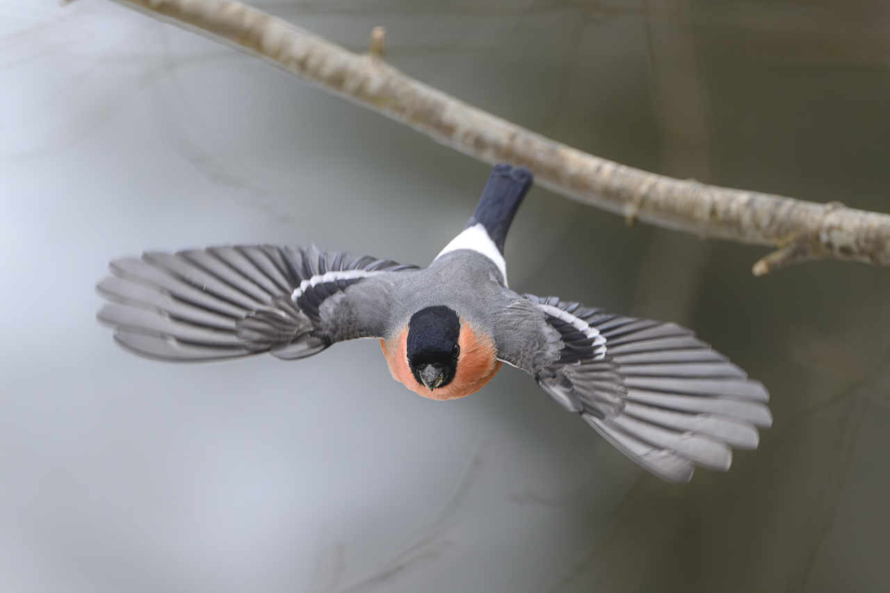 Wald - Raum für natürliche Zusammenhänge