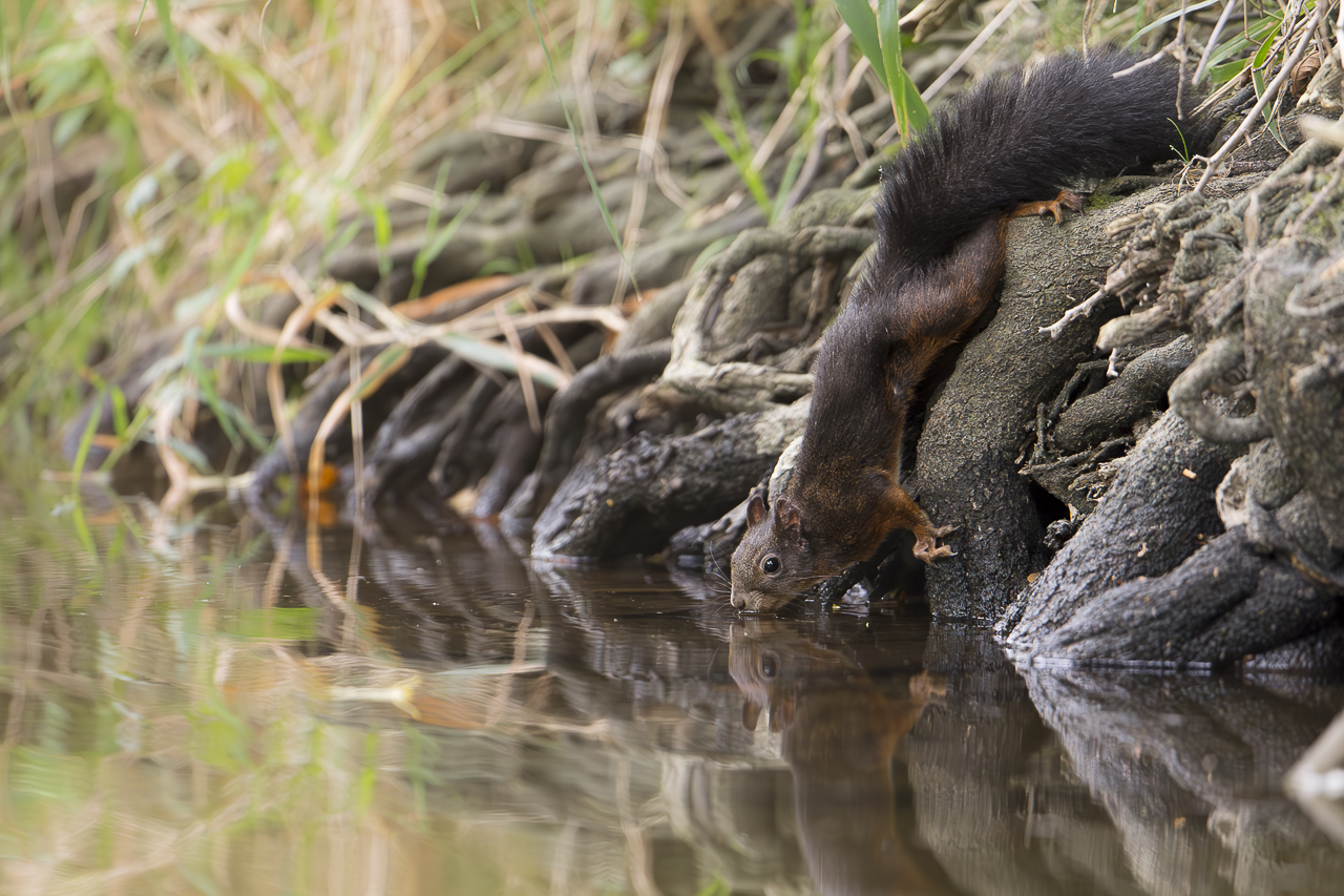 Wasser - Quelle des Lebens