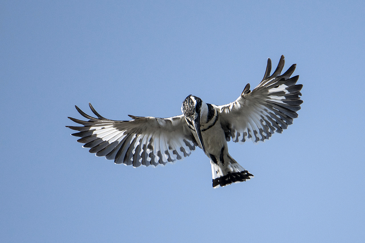 Sambesi - Land am Fluss