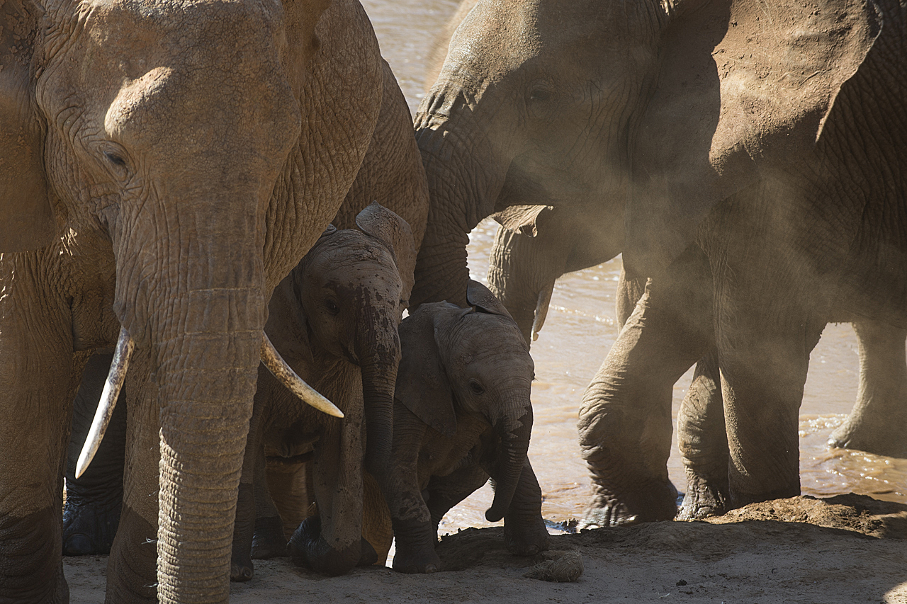 Samburu und Laikipia