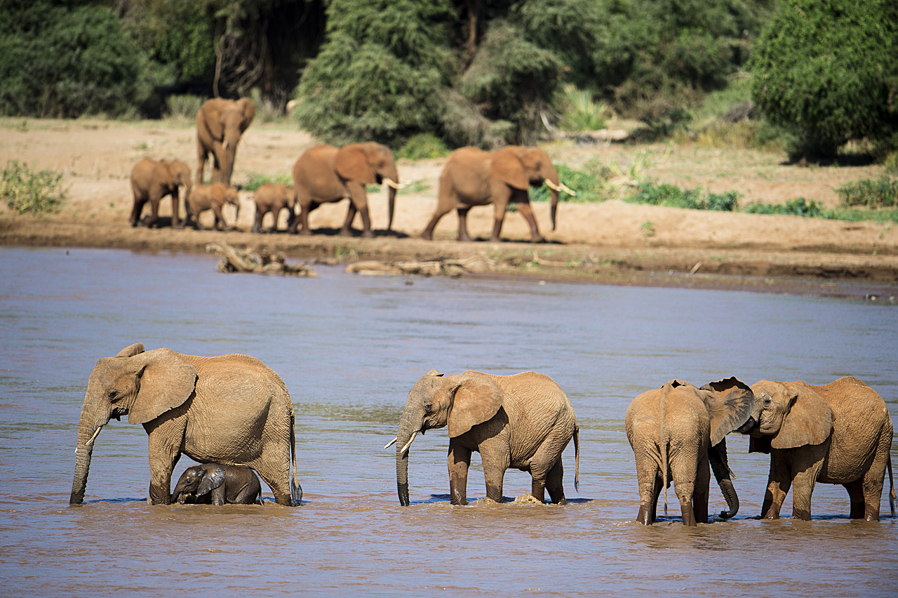 Samburu und Laikipia