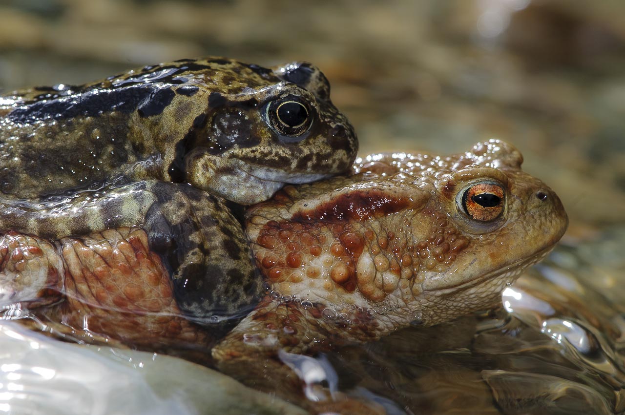 Wasser - Quelle des Lebens