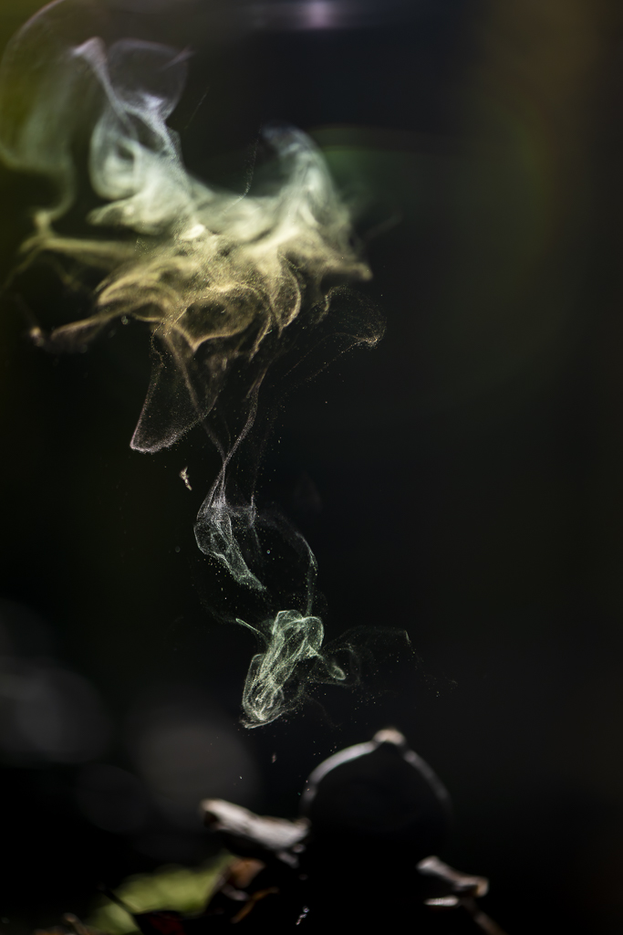 Wald - Raum für natürliche Zusammenhänge