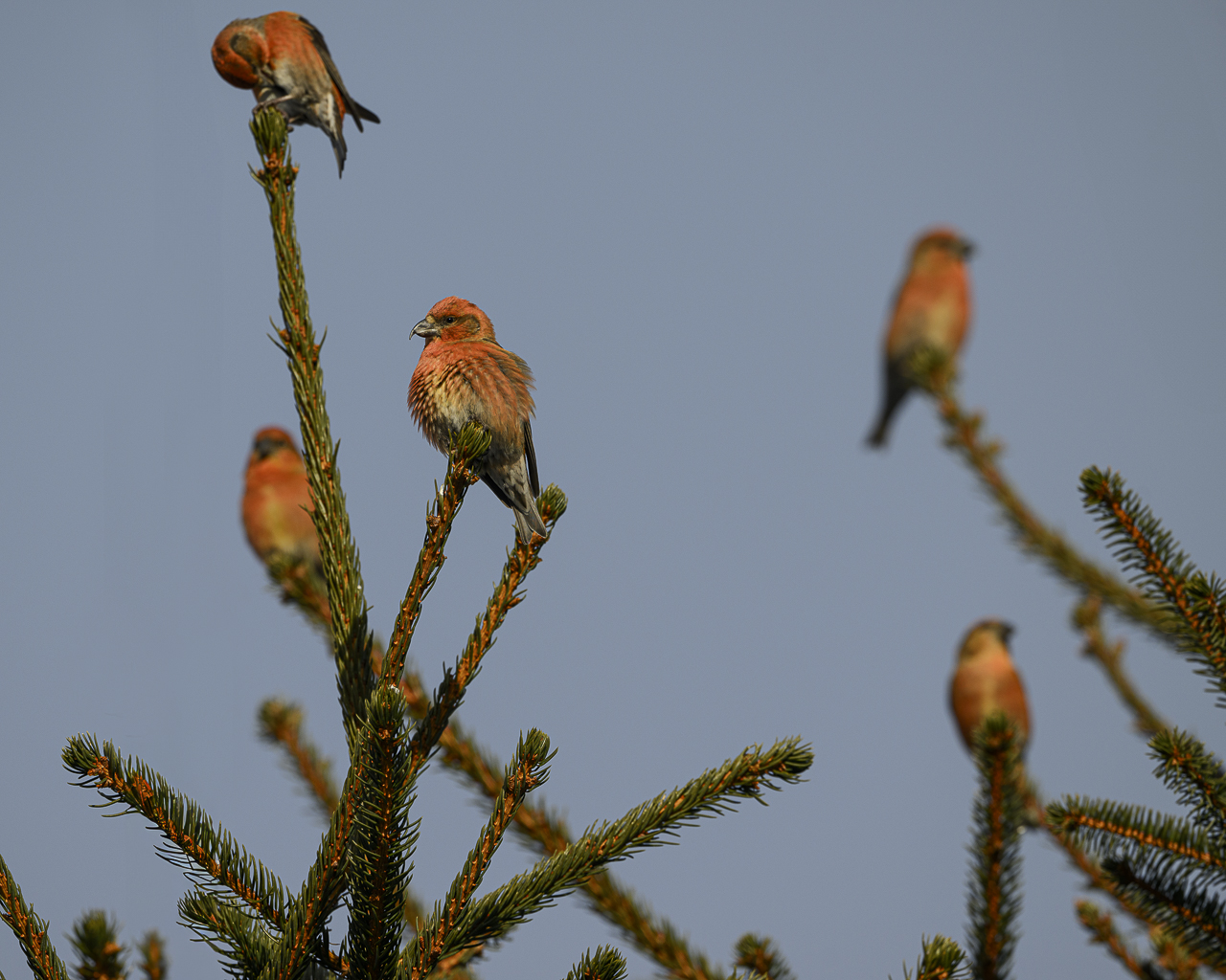 Wald - Raum für natürliche Zusammenhänge