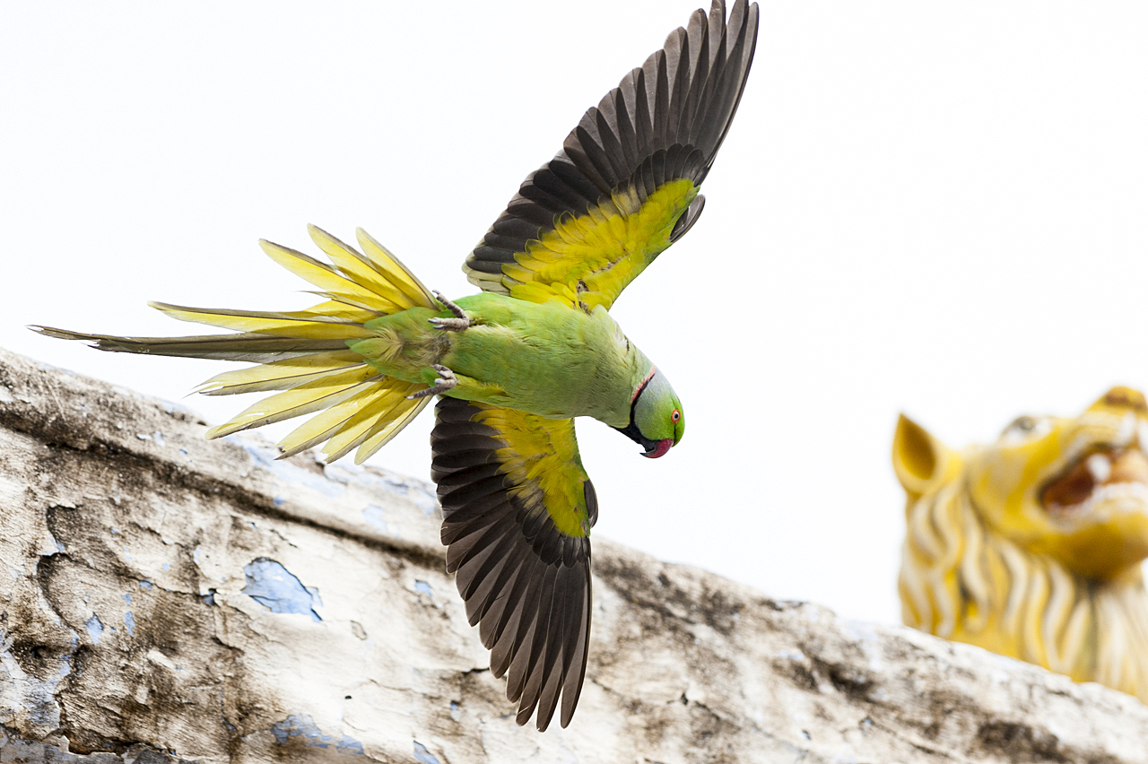Indien - der überquellende Kontinent