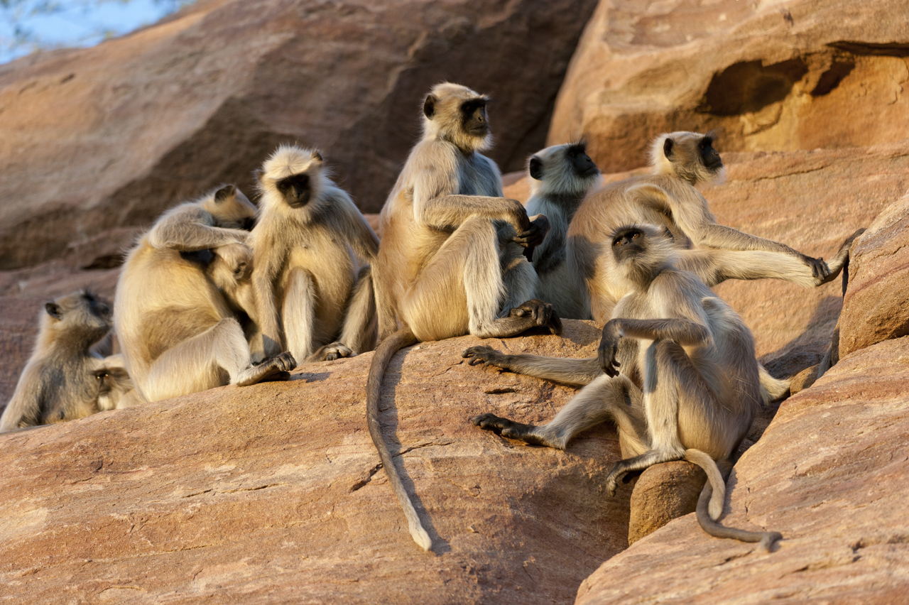 Indien - der überquellende Kontinent