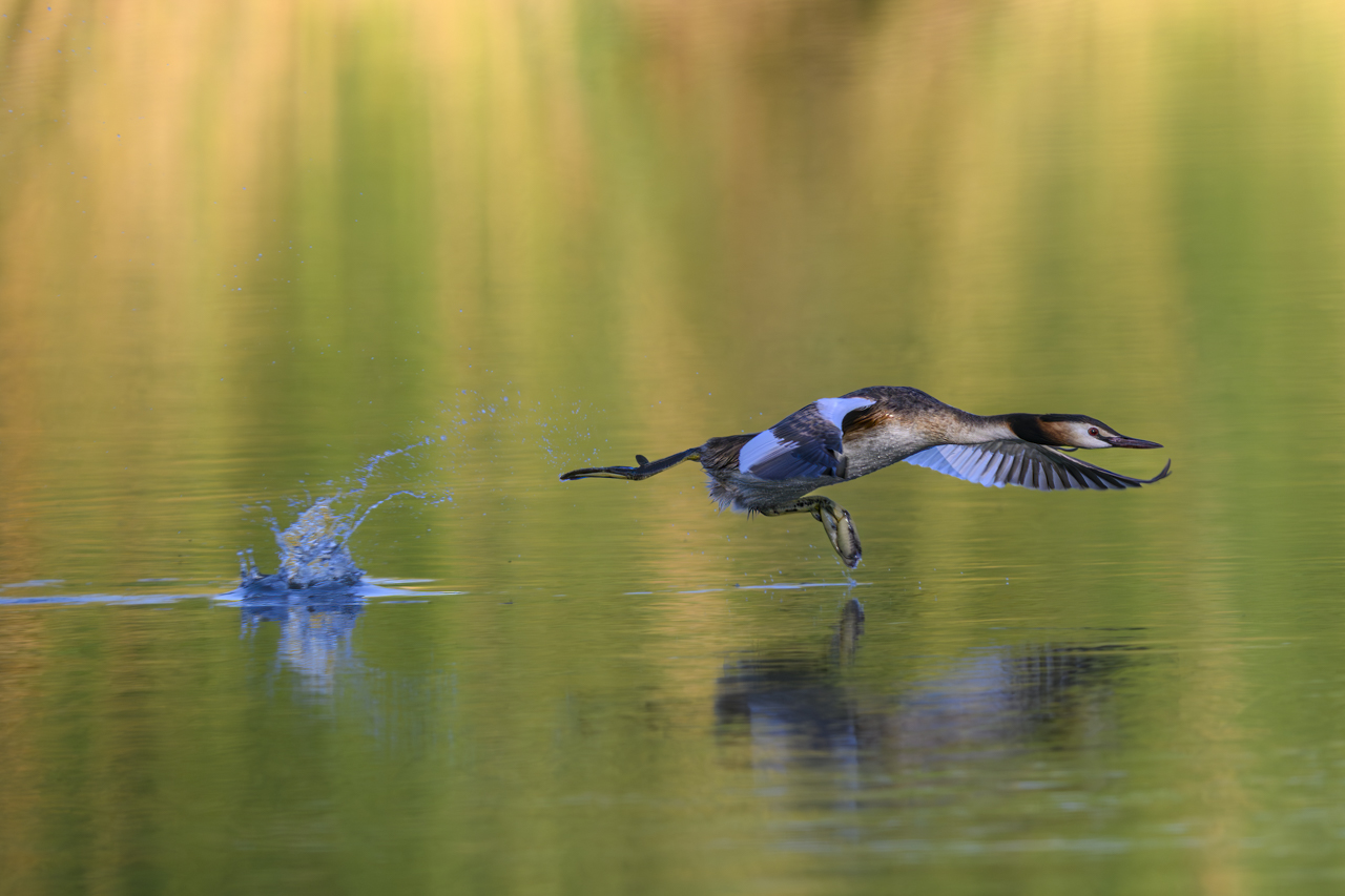 Wasser - Quelle des Lebens