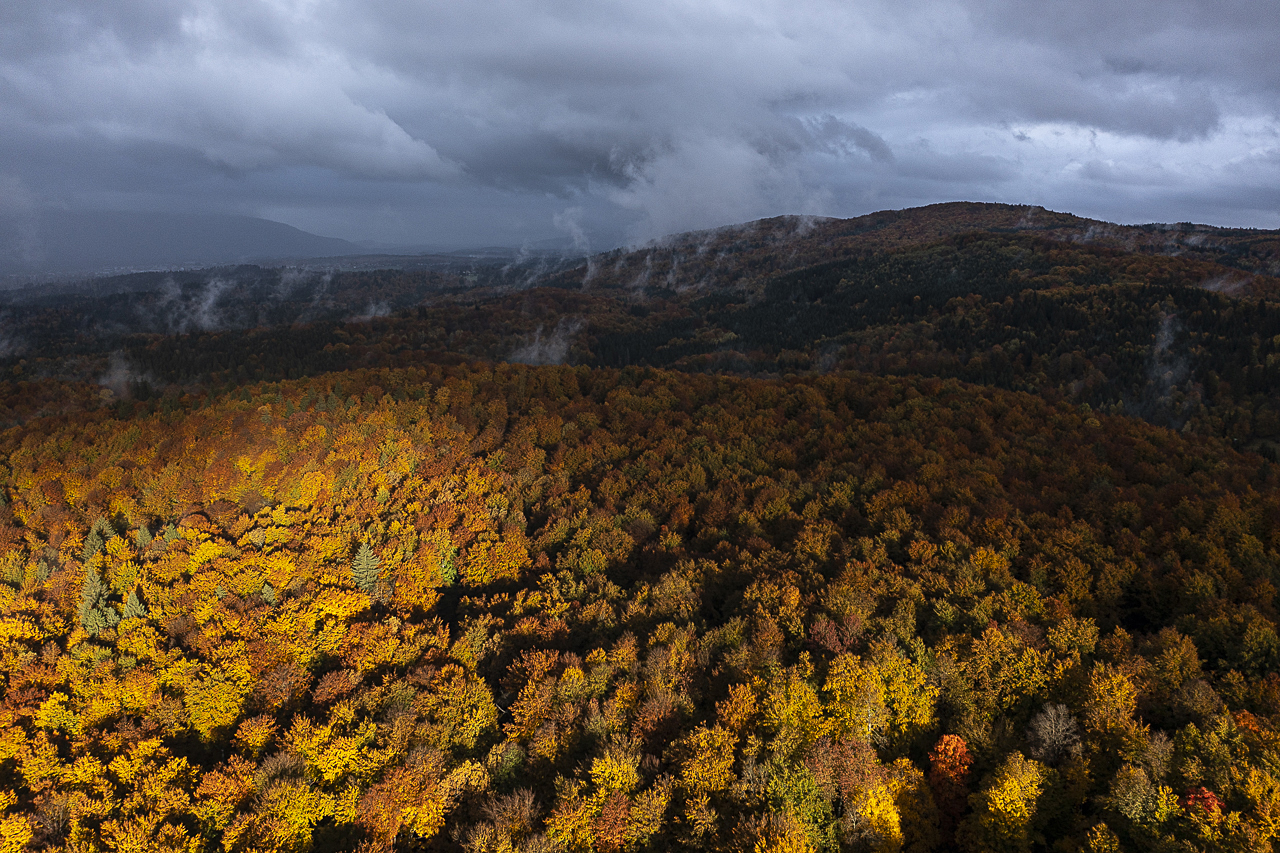 Balkan - jetzt und retro