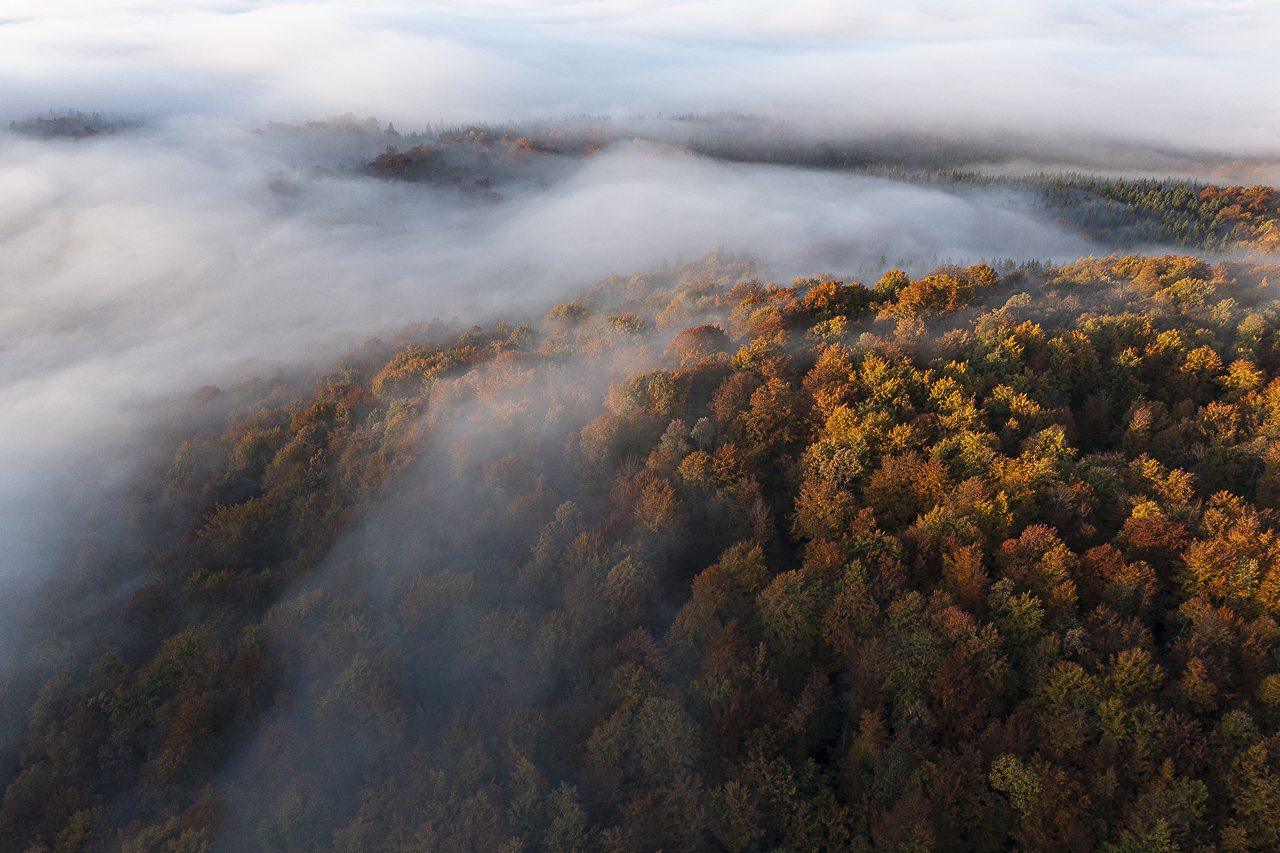 Balkan - jetzt und retro