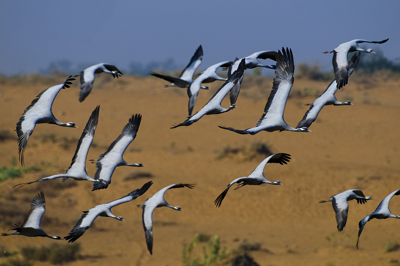 Indien - der überquellende Kontinent