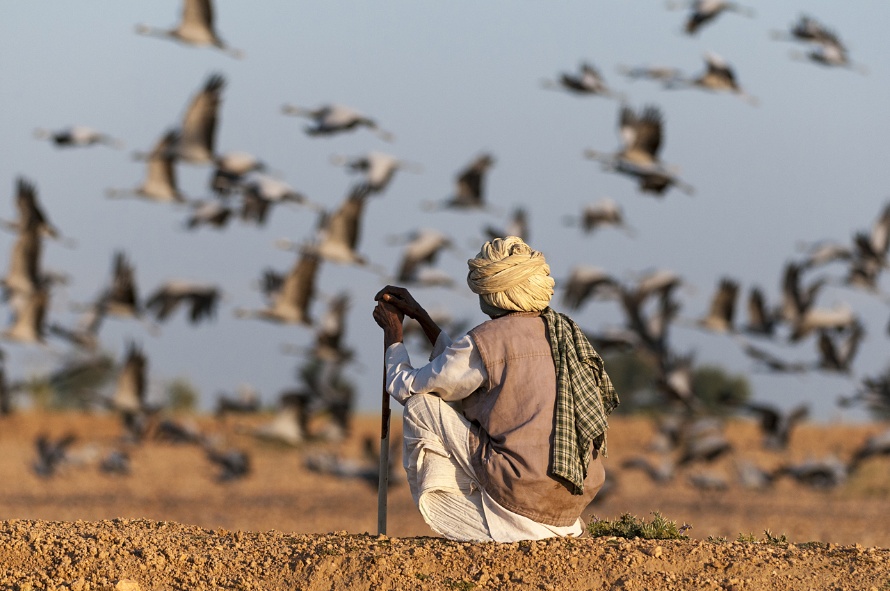 Indien - der überquellende Kontinent