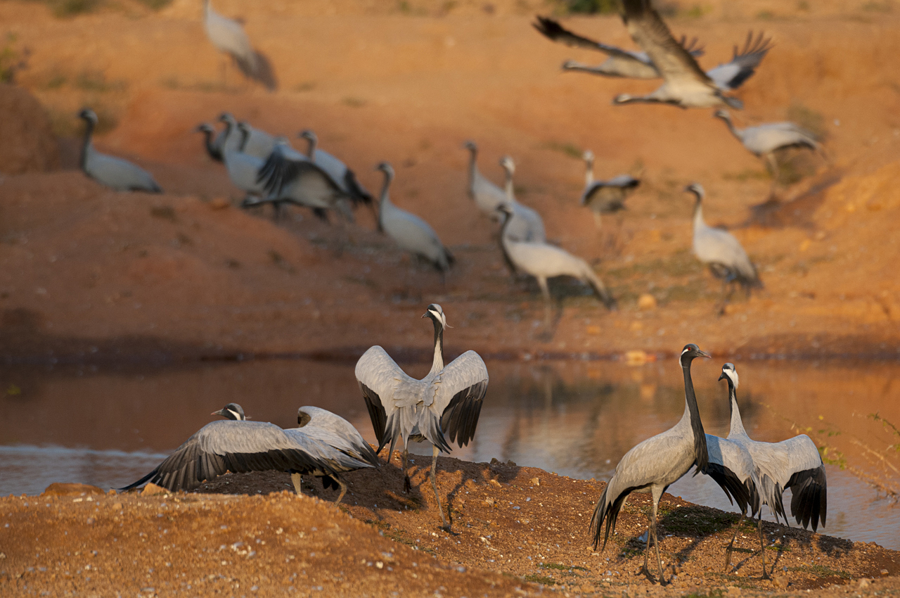 Indien - der überquellende Kontinent