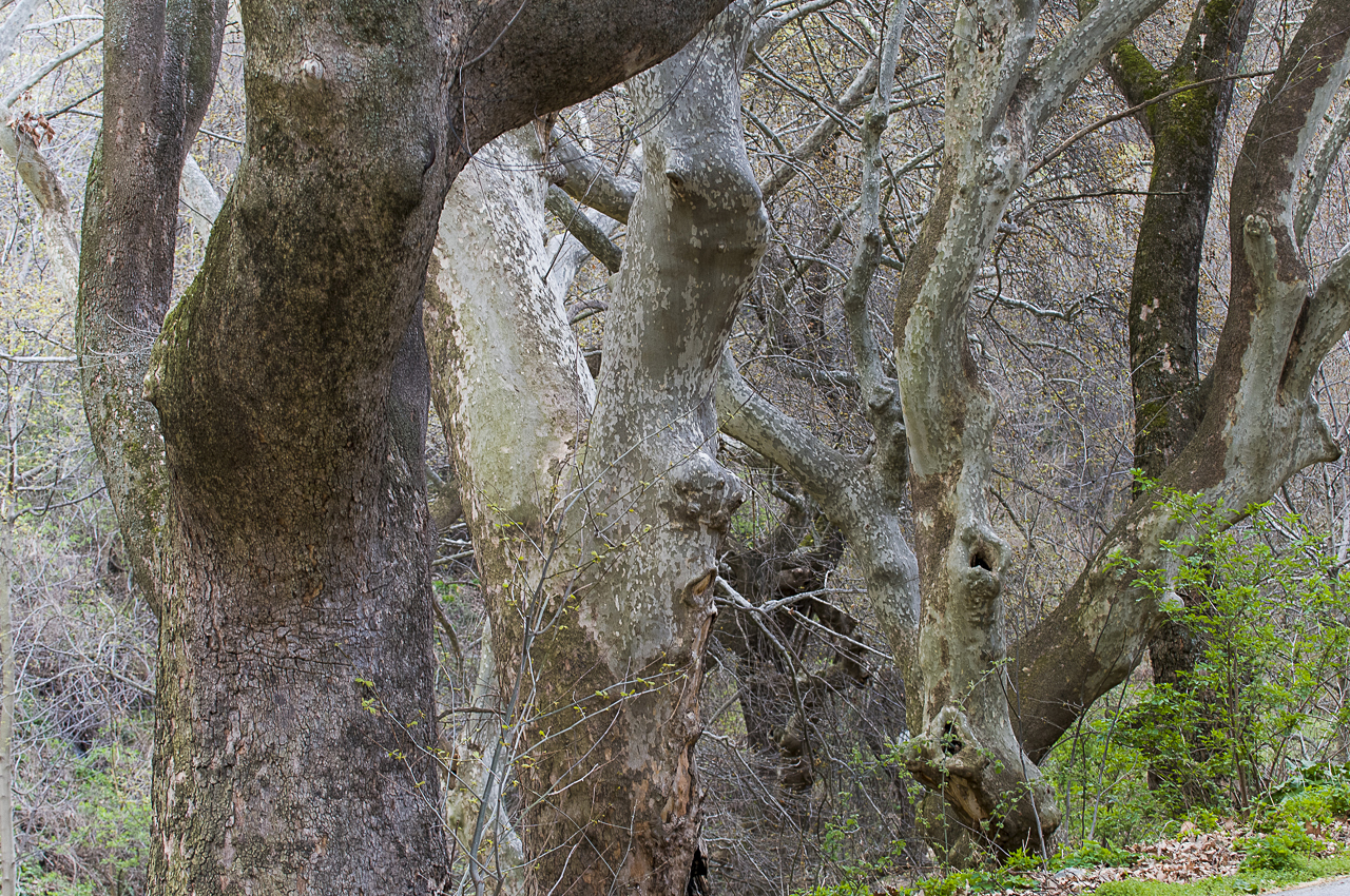 Balkan - jetzt und retro