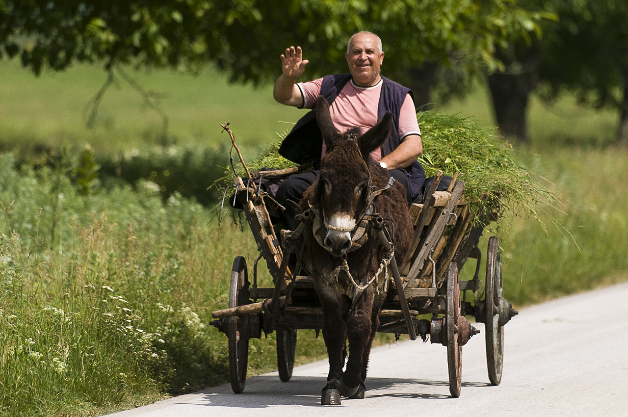 Balkan - jetzt und retro
