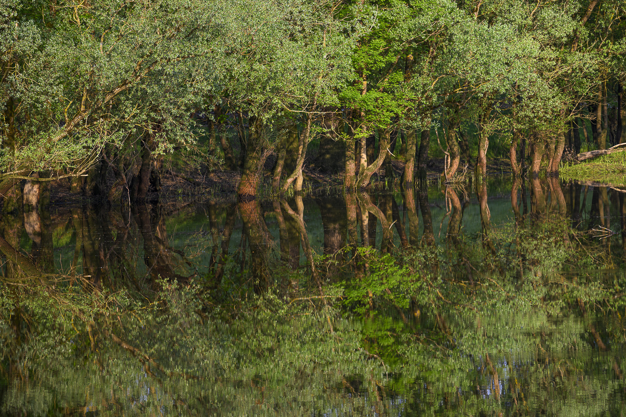 Balkan - jetzt und retro