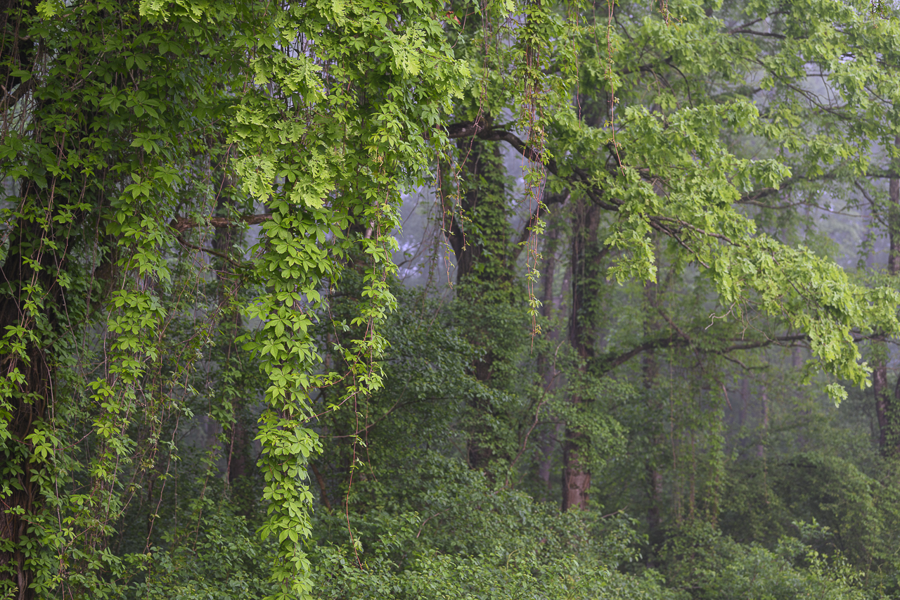 Balkan - jetzt und retro