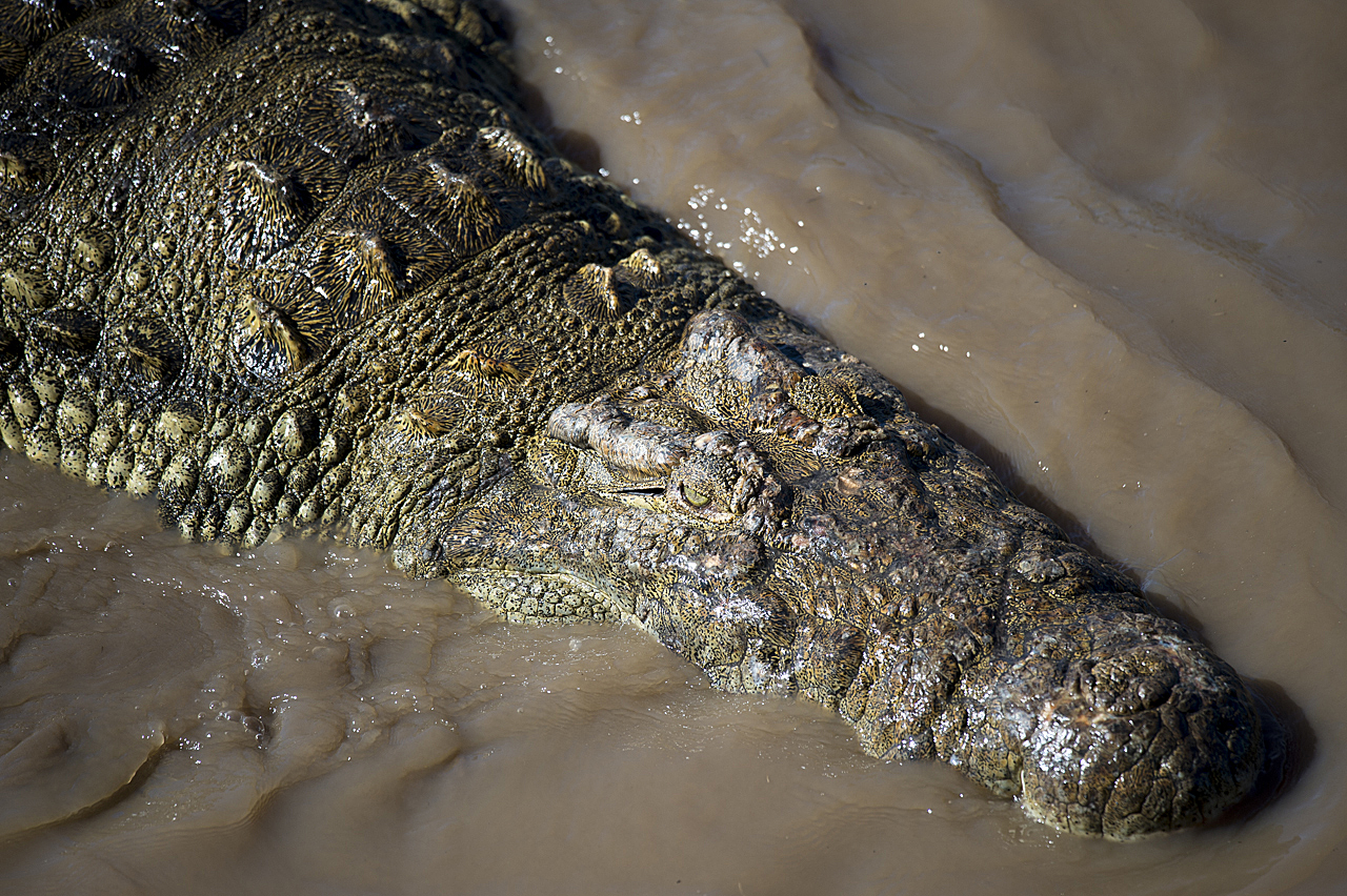 Regenzeit in der Mara