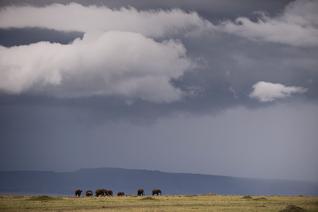 Regenzeit in der Mara
