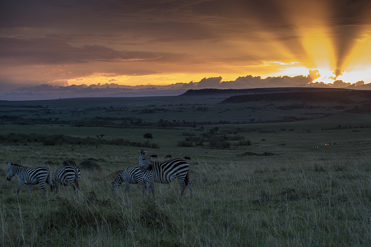 Regenzeit in der Mara