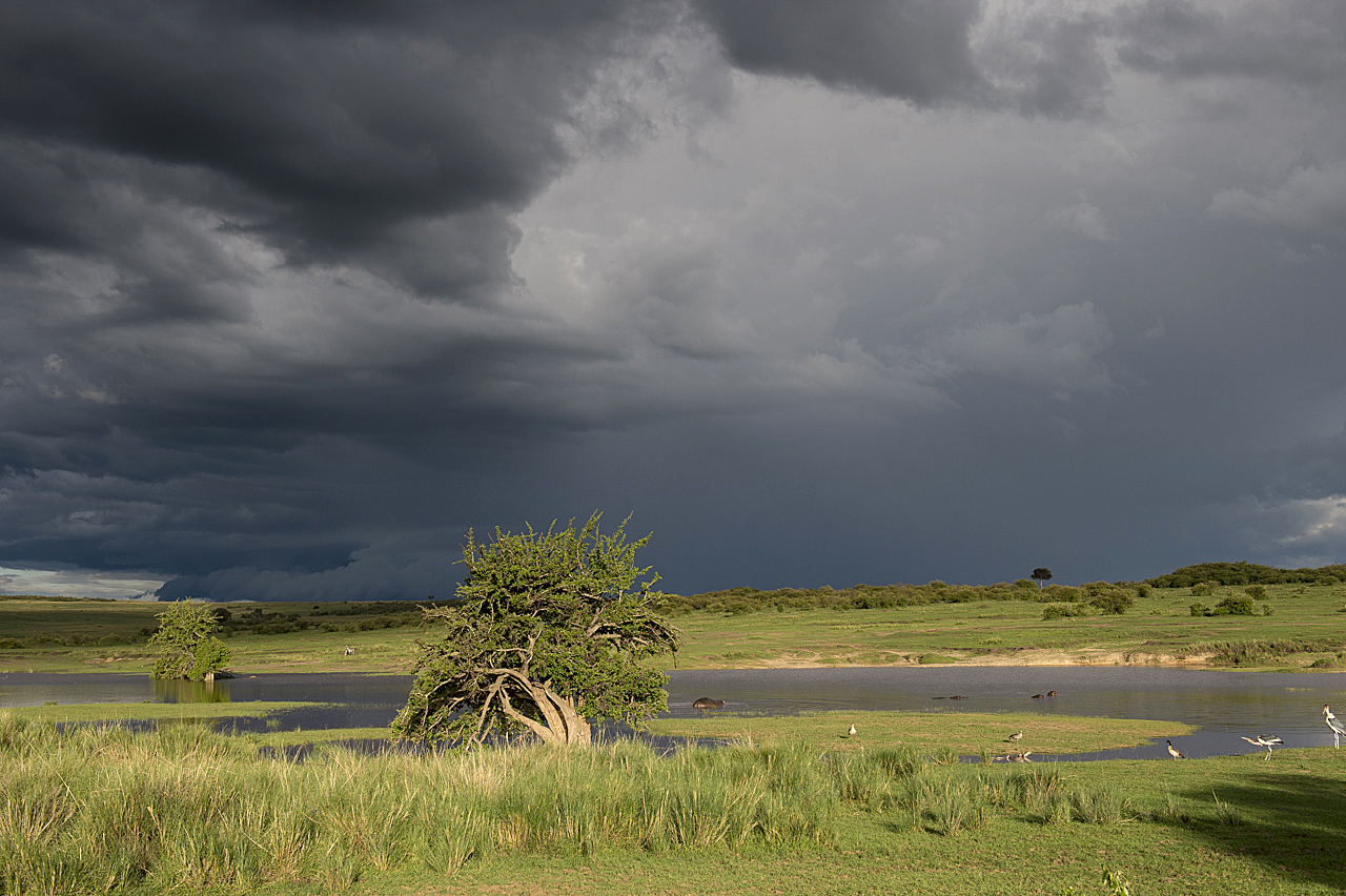 Regenzeit in der Mara