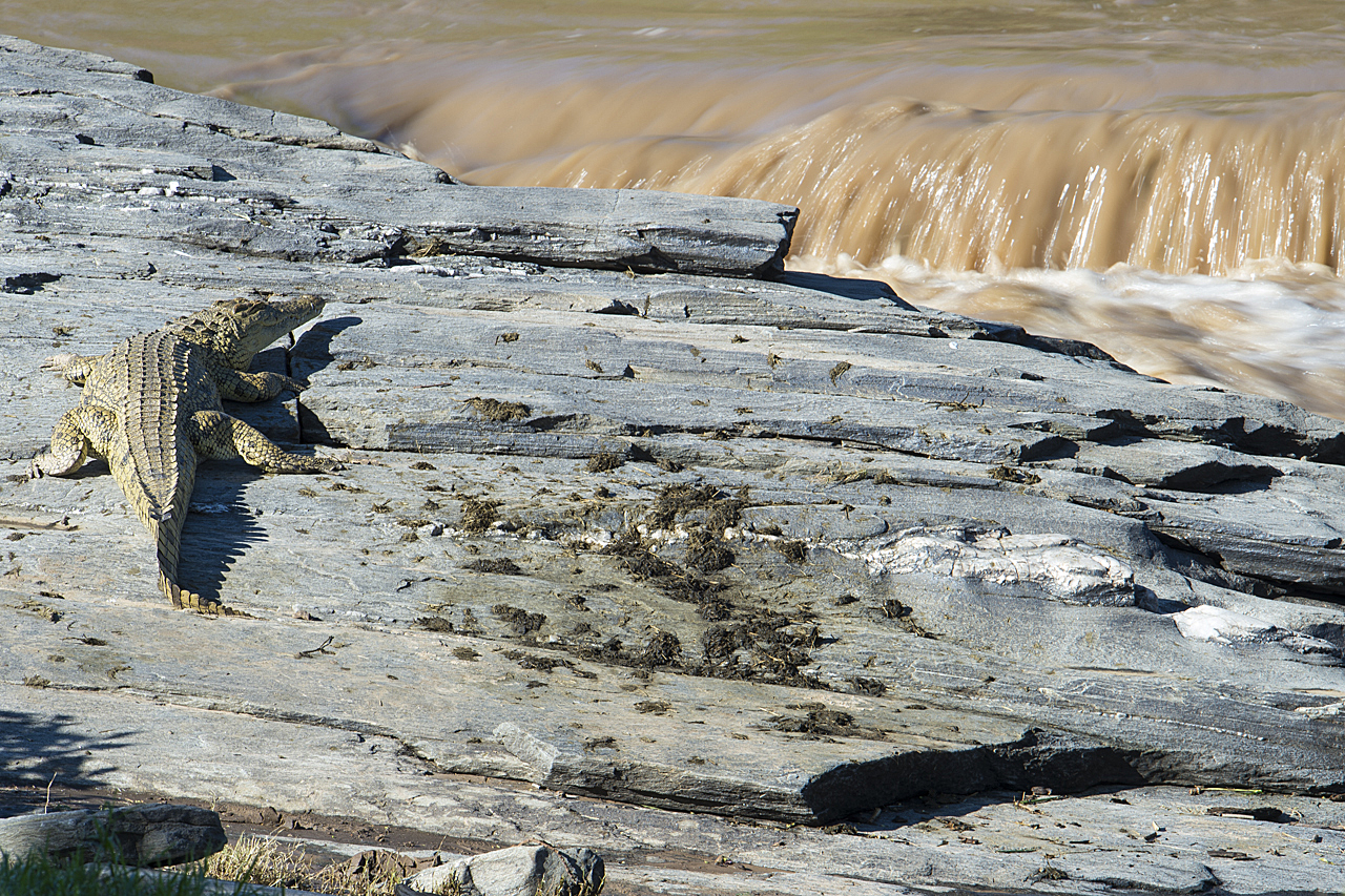 Regenzeit in der Mara