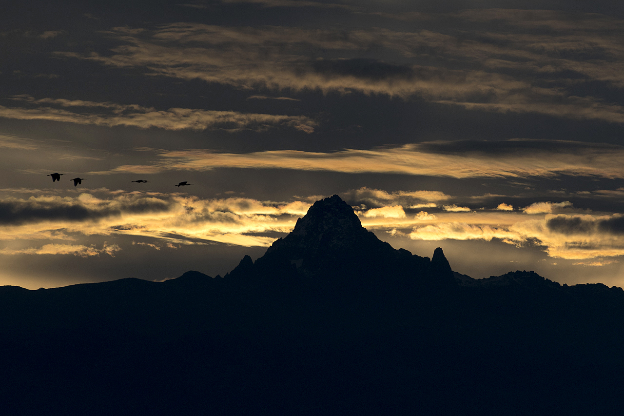 Samburu und Laikipia