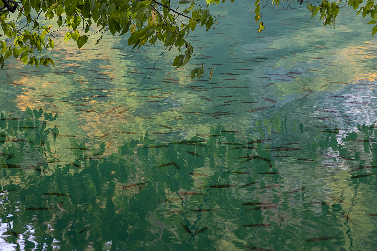 Balkan - jetzt und retro