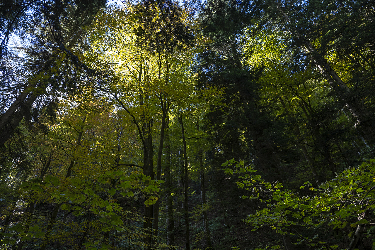 Balkan - jetzt und retro