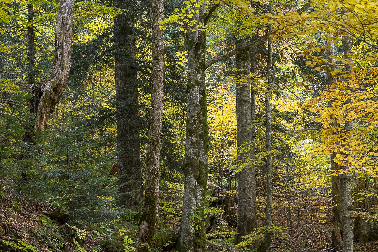 Balkan - jetzt und retro