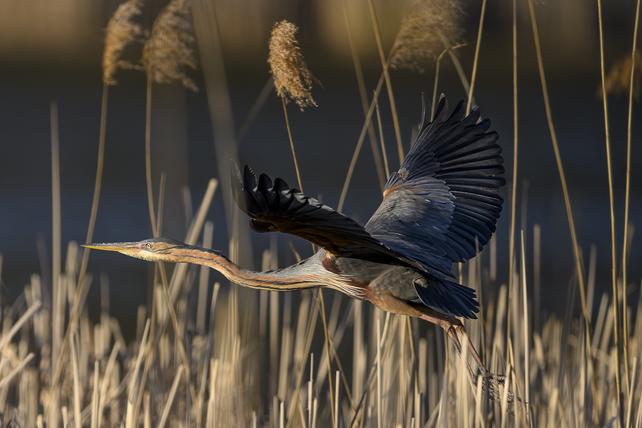 Wasser - Quelle des Lebens