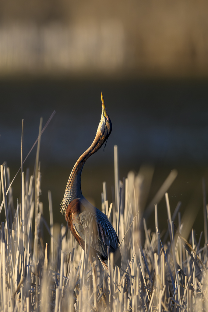 Wasser - Quelle des Lebens