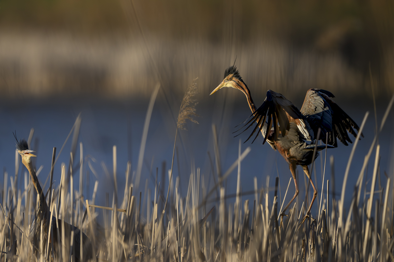Wasser - Quelle des Lebens