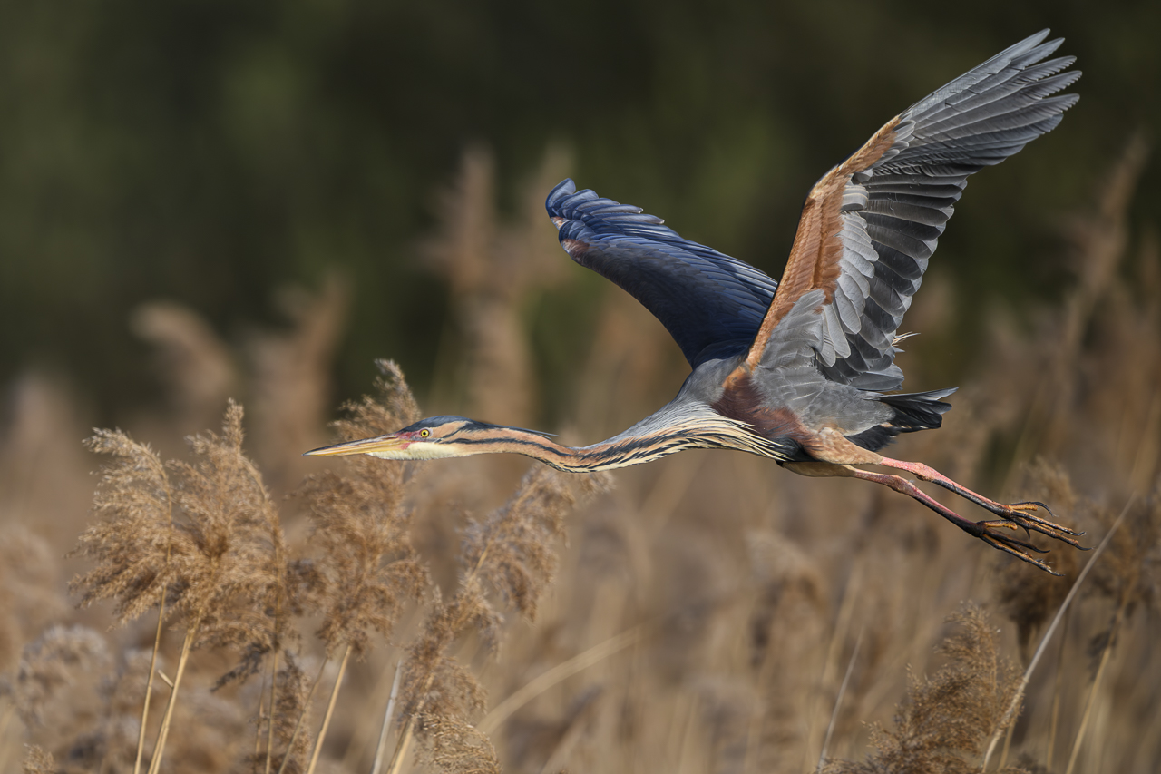 Wasser - Quelle des Lebens