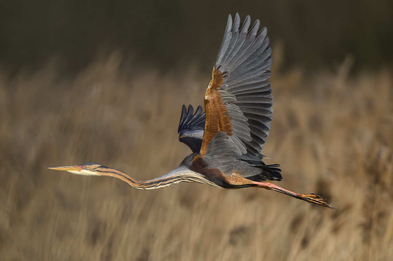 Wasser - Quelle des Lebens