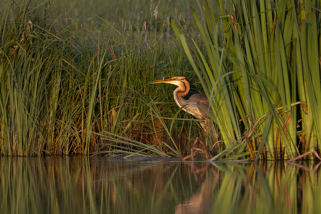 Wasser - Quelle des Lebens