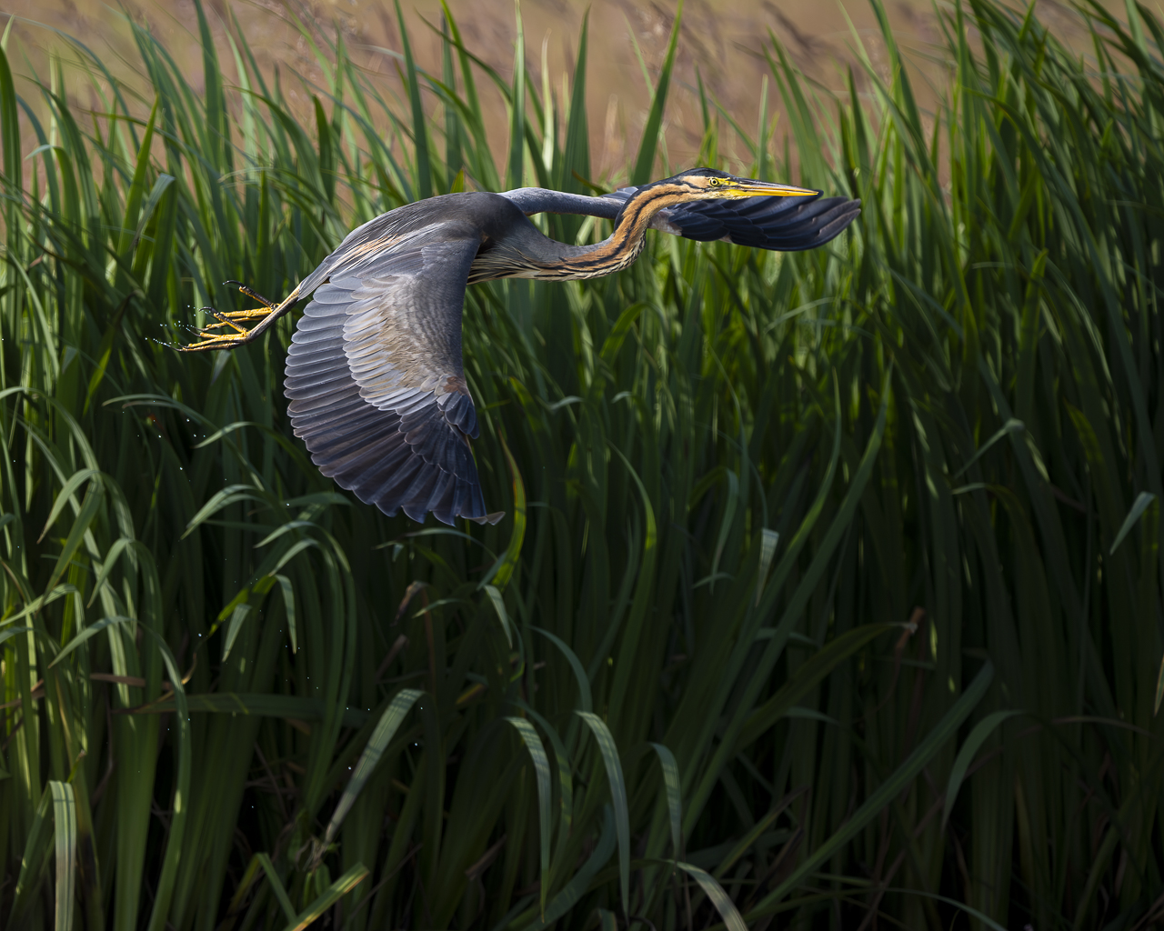 Wasser - Quelle des Lebens