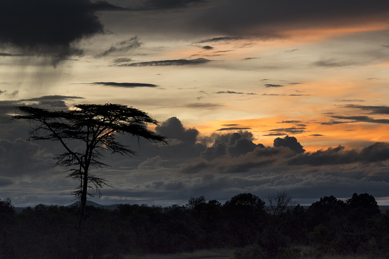 Regenzeit in der Mara