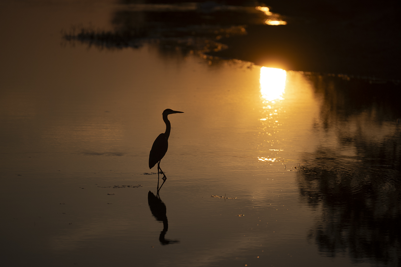 Wasser - Quelle des Lebens