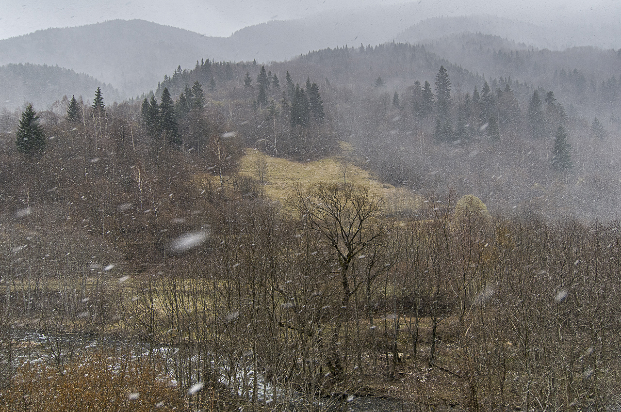 Balkan - jetzt und retro