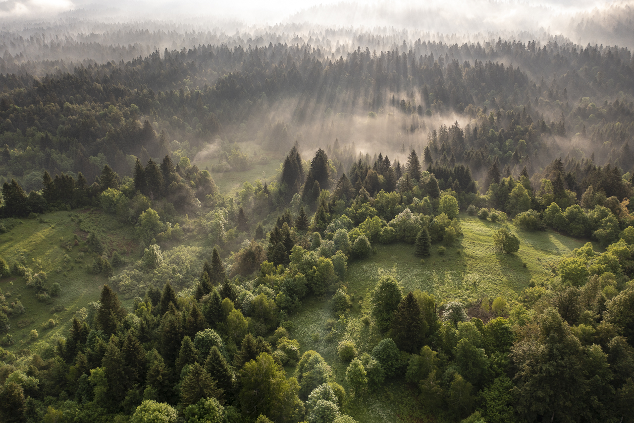Balkan - jetzt und retro
