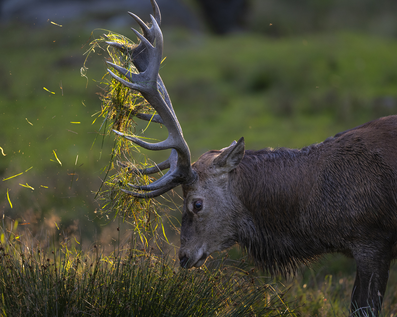 Wald - Raum für natürliche Zusammenhänge