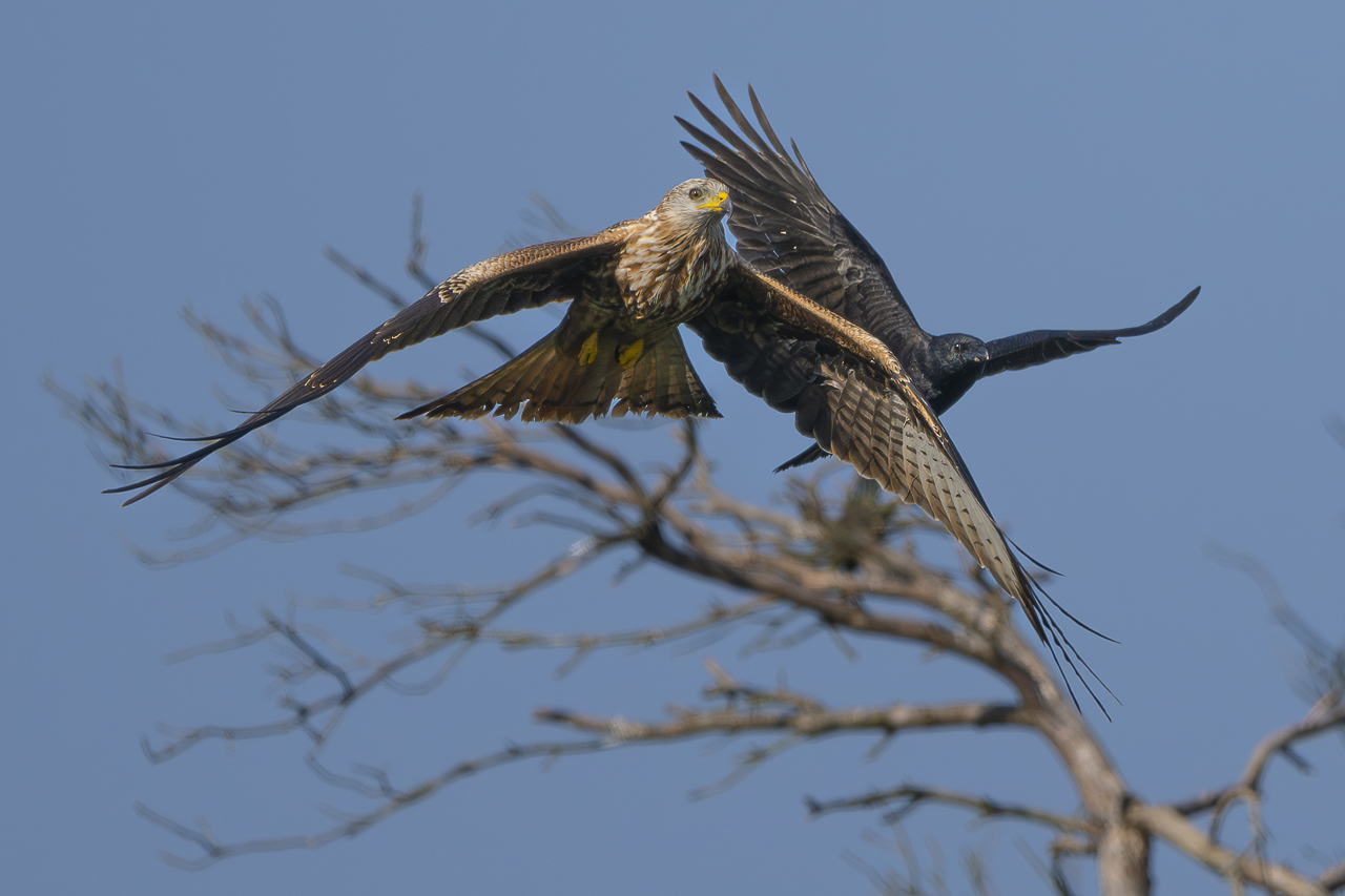 Wald - Raum für natürliche Zusammenhänge