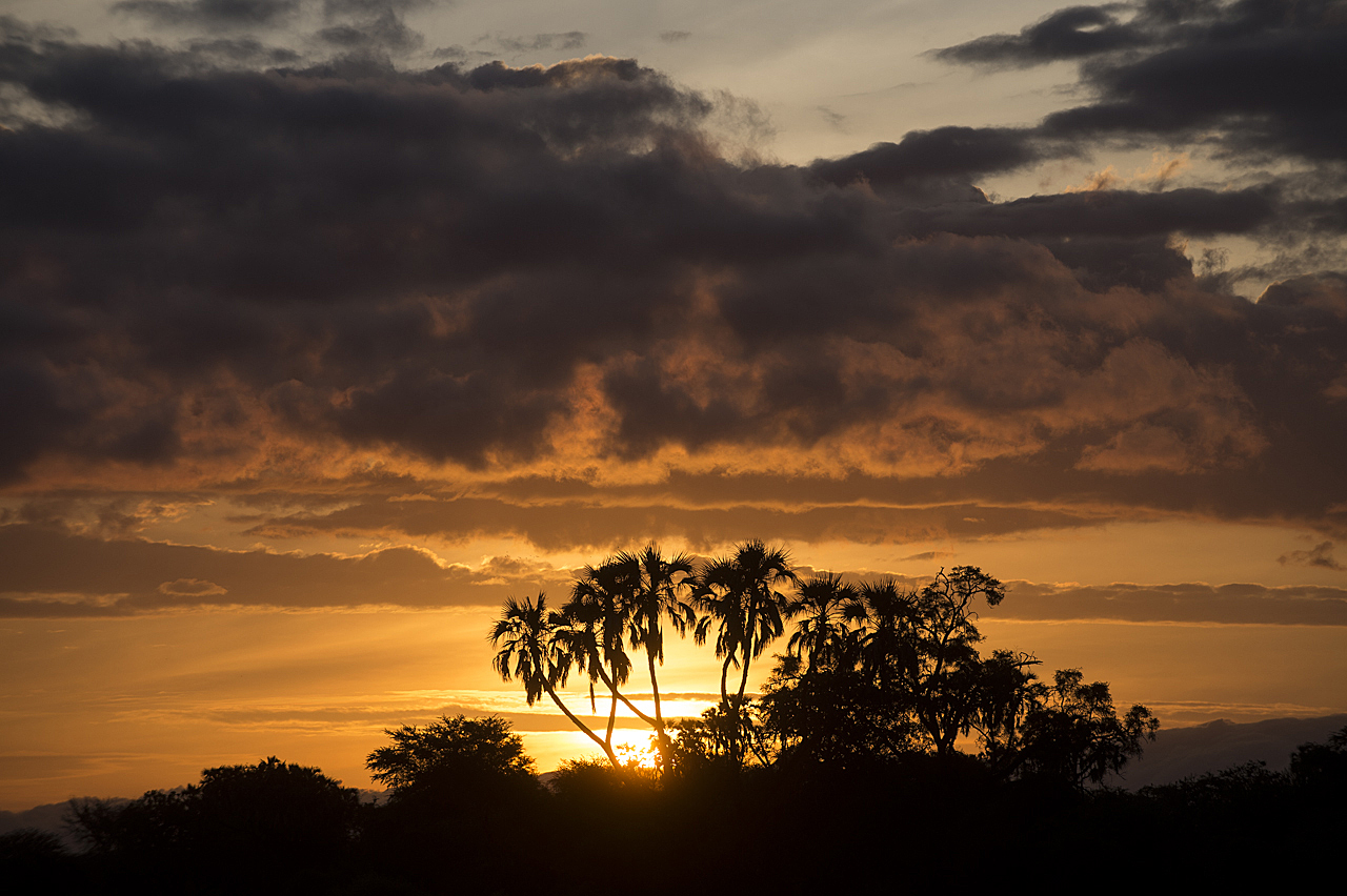 Samburu und Laikipia